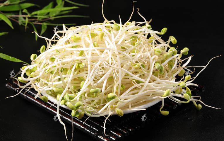 無公害綠色豆芽，怎么生產(chǎn)出來的？全套生產(chǎn)過程如此方便智能